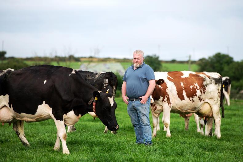 Milking smarter with robots in west Cork