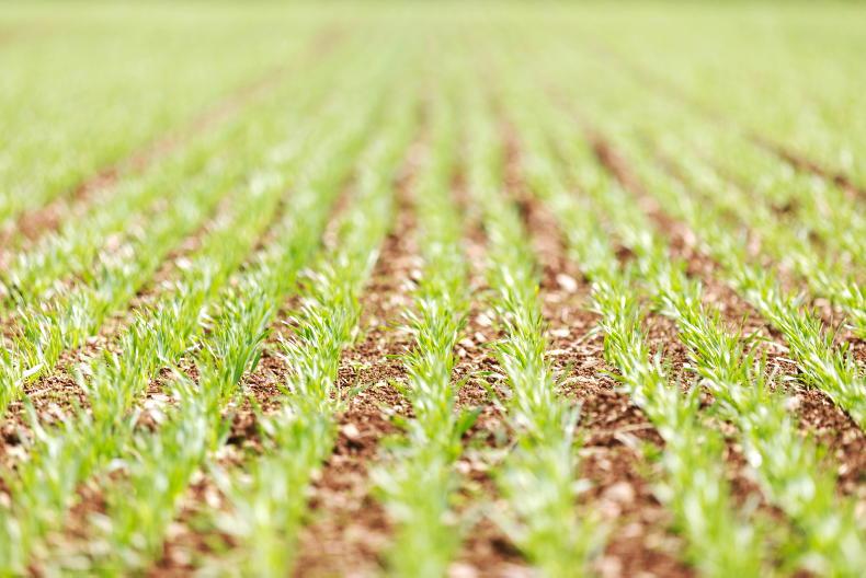 Boortmalt releases 2025 harvest price