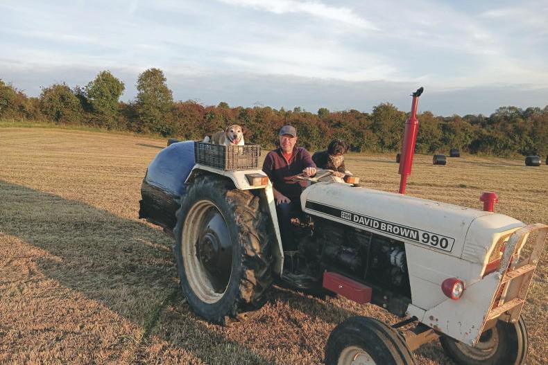 Country vibes... a few of our favourite things 