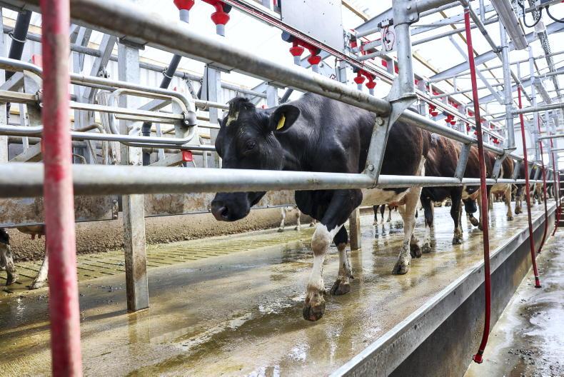 Dale Farm edges out rivals in the August milk league