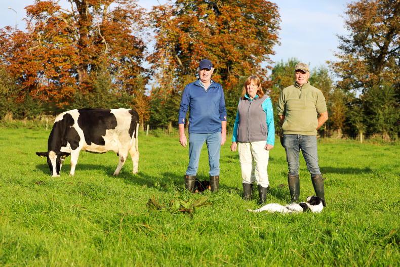 My Farming Week: Tommy Riggs-Miller, Tullaheady, Nenagh, Co Tipperary