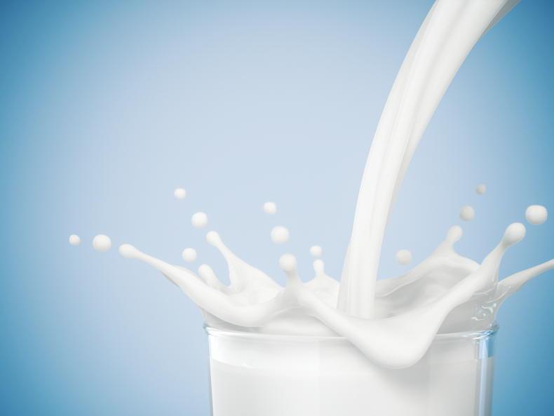 Irish students to mark World School Milk Day