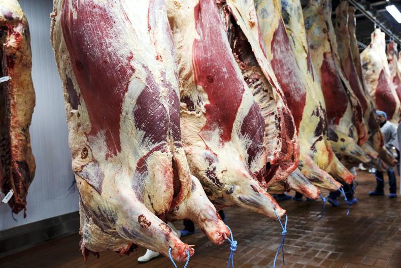Beef factories must reflect improving market conditions – IFA
