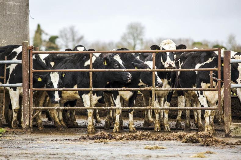 September rainfall almost four times above normal