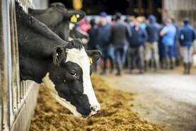 Base milk price falls at the wrong time for winter milk producers
