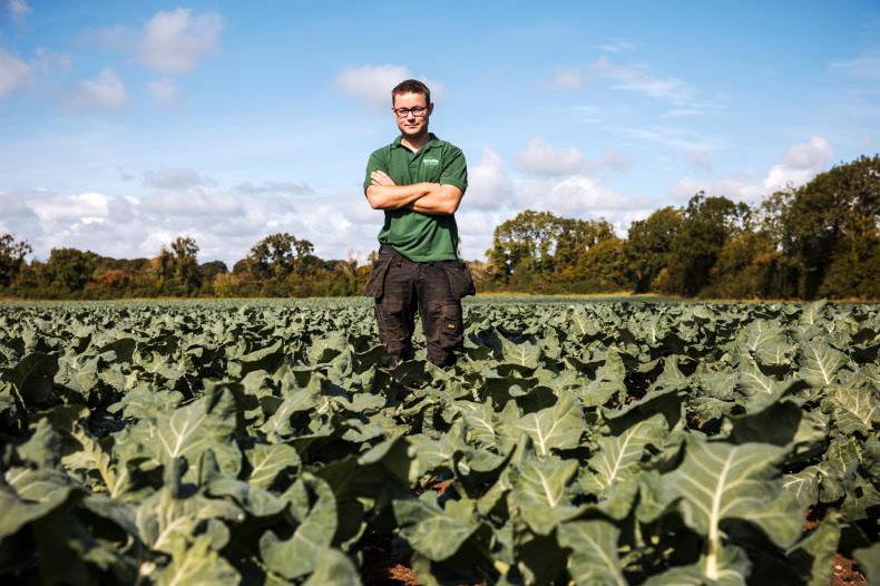 Young farmer takes up the mantle of broccoli growing