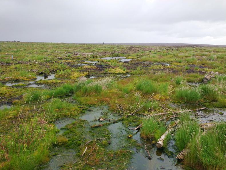 Big ambitions in DAERA peatland strategy