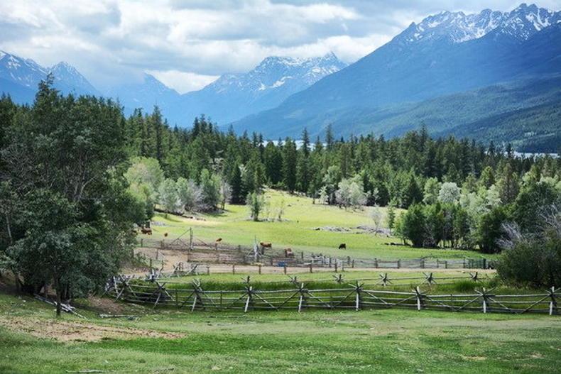 Is Calgary and Canada calling?