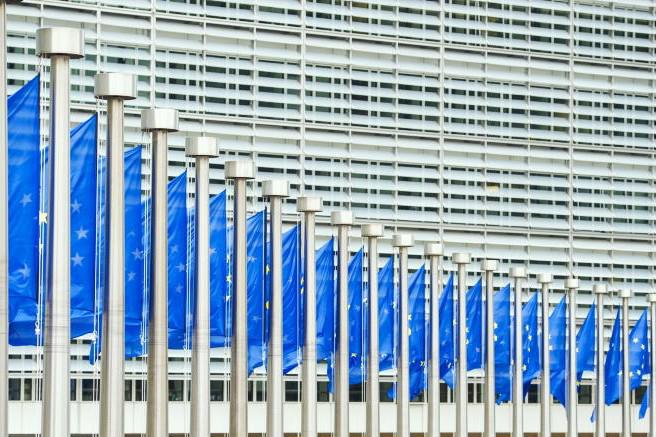 EU deforestation regulation postponed again