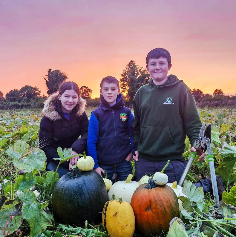 In pictures: our favourite readers’ photos of the week 