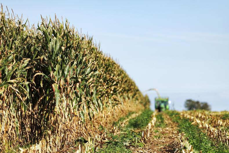 Weekend Weather: dry and settled with just some showers