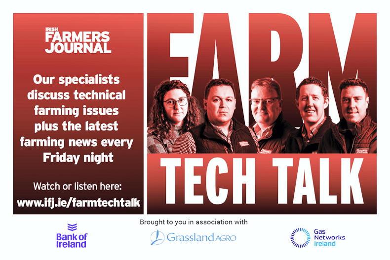 Farm Tech Talk: stars realign, EBI drops and lamb numbers tighten