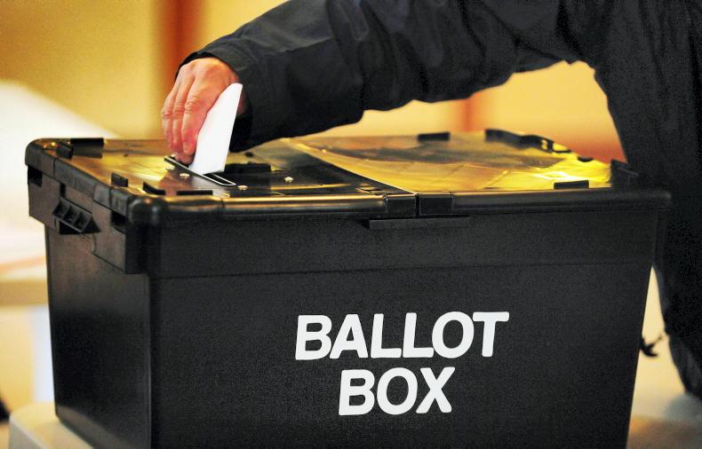 Poll: who will you vote for in the presidential election?