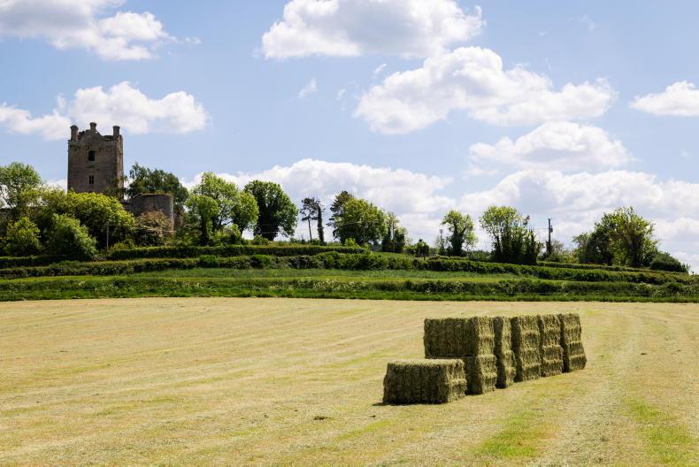 English hay prices go into orbit