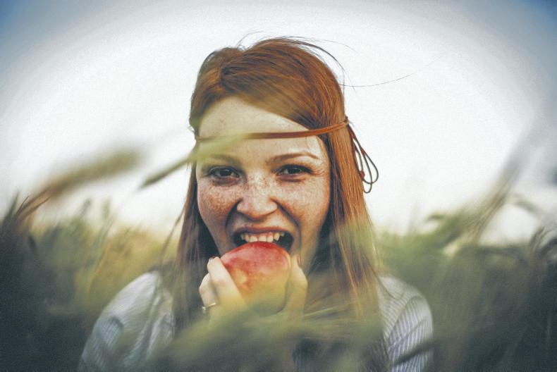 How do you like them (Irish) apples?                                            