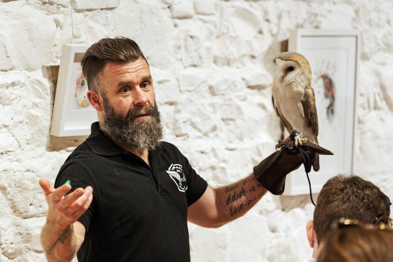 Give a hoot: the farmer’s friend needs our help