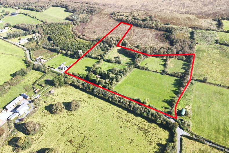 Two prime cattle farms for sale in Co Westmeath