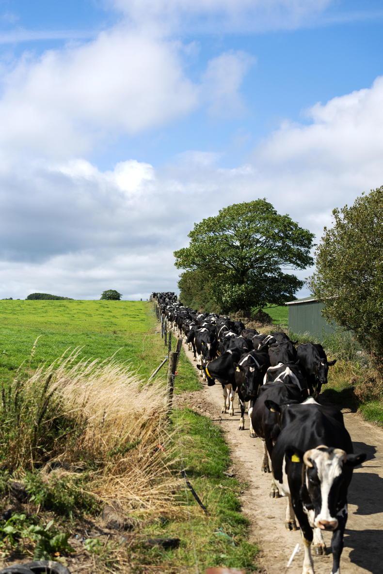 Farming with nature on the Bandon River