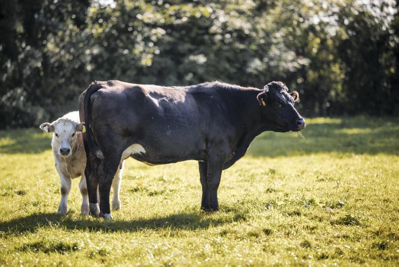 Organic roadshows kick off around the country