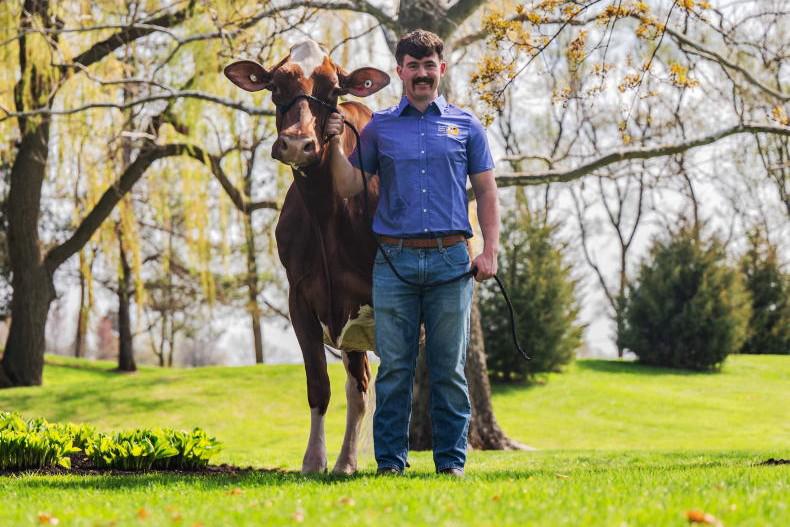 'Seeing the level of detail that goes into show cows was eye-opening'