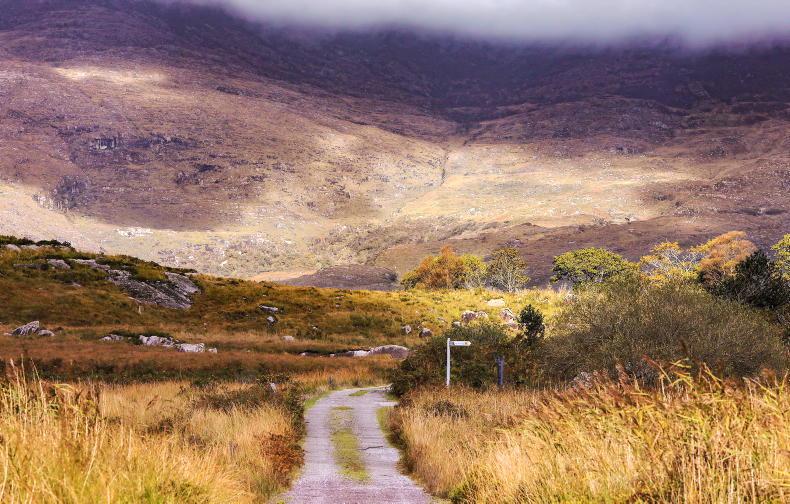 INHFA hits out at State's upland 'rewilding' as no hill research farm in place