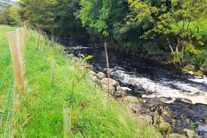 Buffer zone width causes nature scheme dropouts