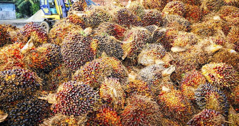 EU-Indonesia trade deal eliminates agri-food tariffs 