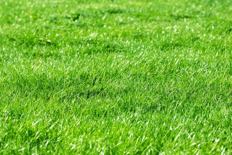 Grass+: growth dropping as final rotation begins