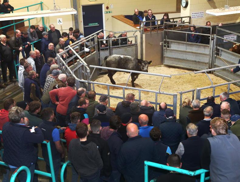 Northern Ireland diary of events