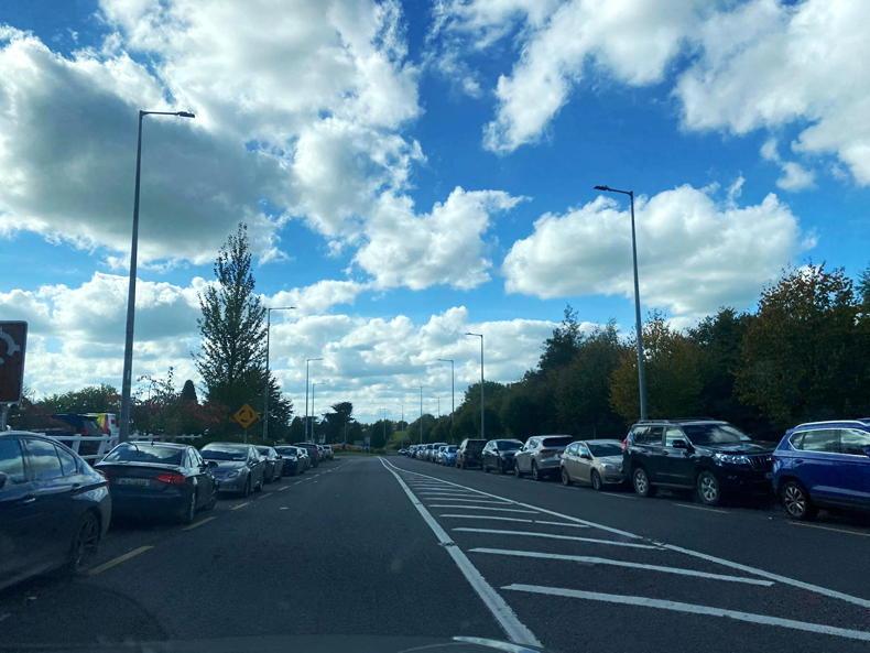 Bedlam in Mitchelstown                                                         