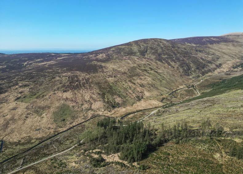 INHFA takes aim at State rewilding plans