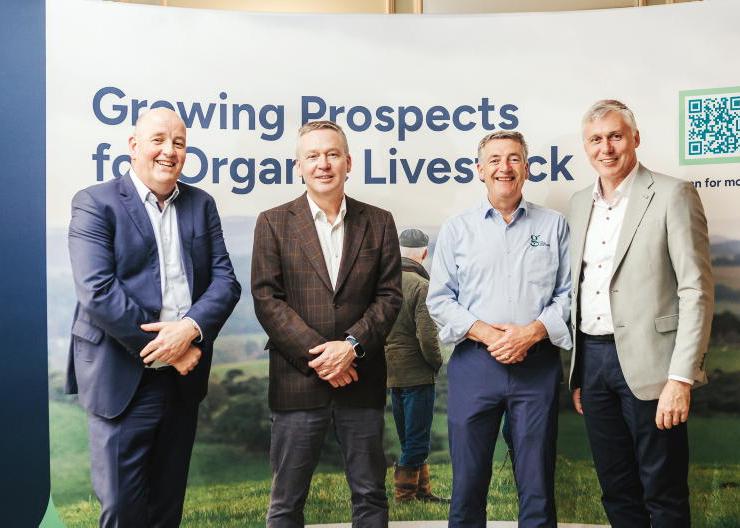 Scope to grow organic beef kill to over 30,000 head