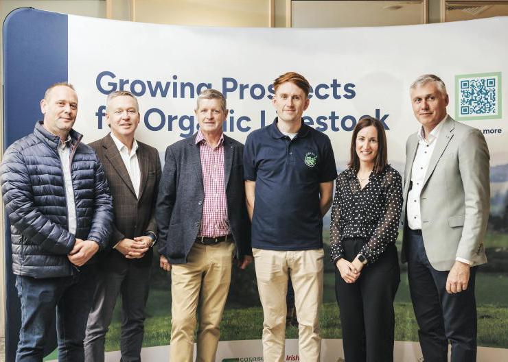 New project to tackle organic leakage