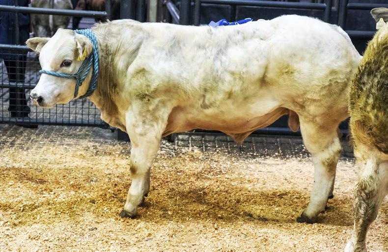 Marts brace for boycott by exporters
