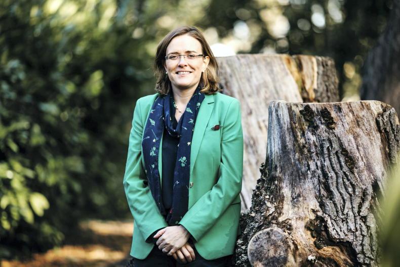 Brosnan to chair NAP group in NI