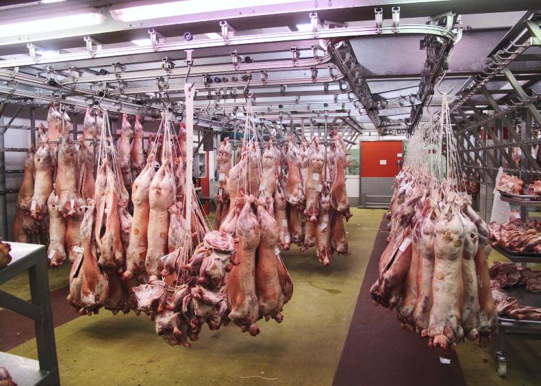 Sheep kill drops by almost 400,000 head 