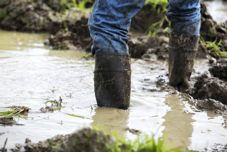 Dairy Management: heavy rains hampers autumn grazing plans