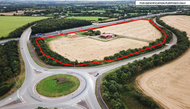 Road frontage on four sides helps field make €175,000/ac