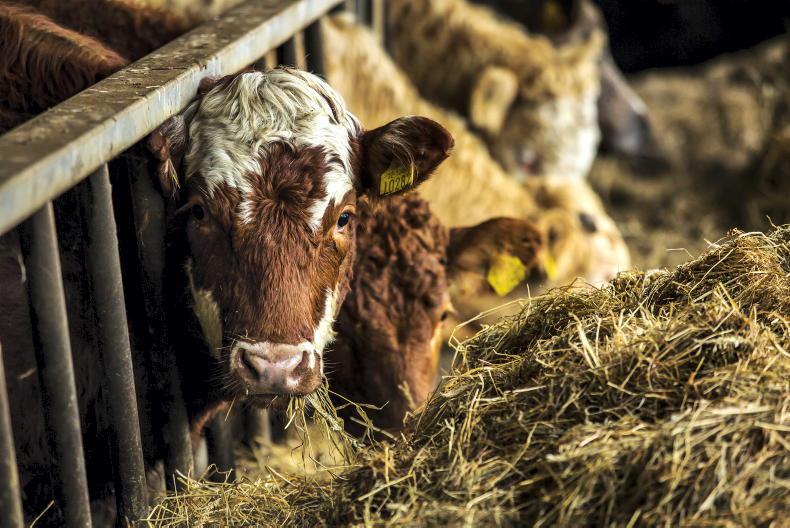 TB compensation averaged €1,536/reactor in 2024