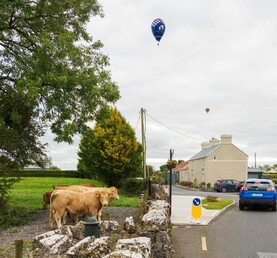 Watch: this week in farming as cattle, slurry, hoof care and spuds take focus