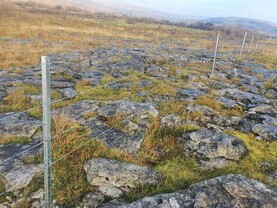 ACRES non-productive investments - what is available for support?