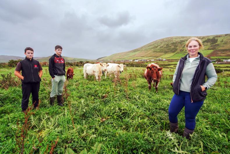 My Farming Week: Christina Belmonte, Lathieve, Meanagh, Ballyferriter, Co Kerry