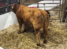 Exporter mart boycott: 'positive' talks but still going ahead