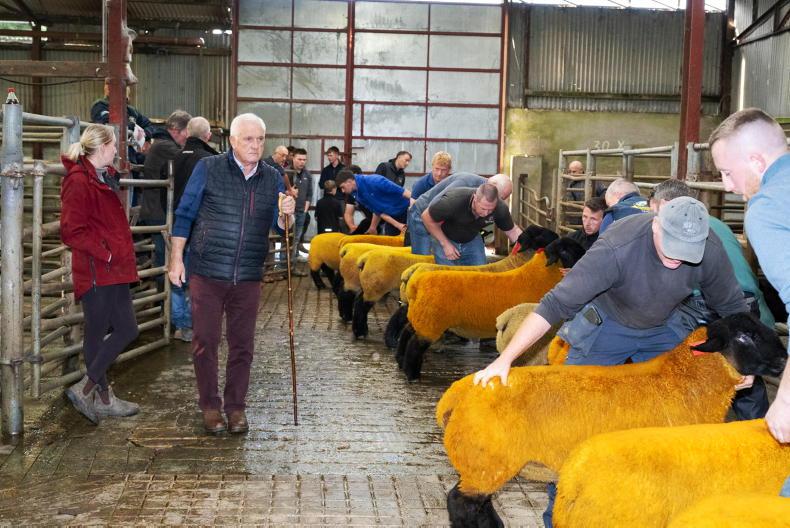 Raphoe and Headford marts cancel Friday evening sales