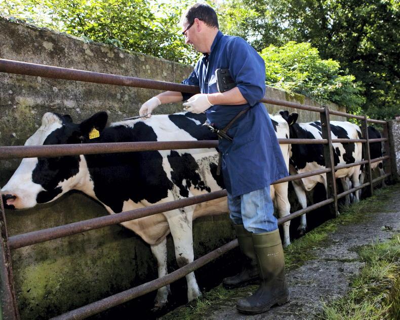 Budget 2026: why is TB draining money from agriculture?