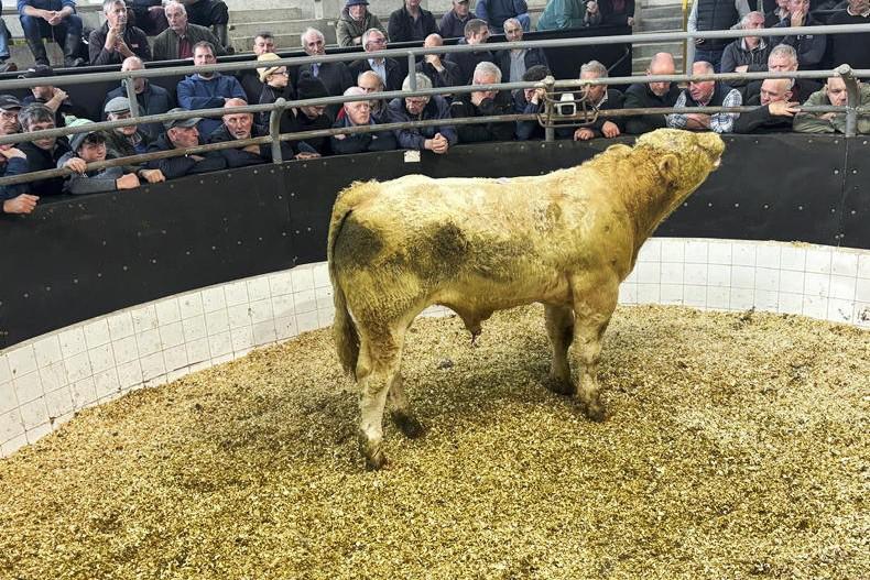 All eyes on Monday sales as mart boycott kicks in 