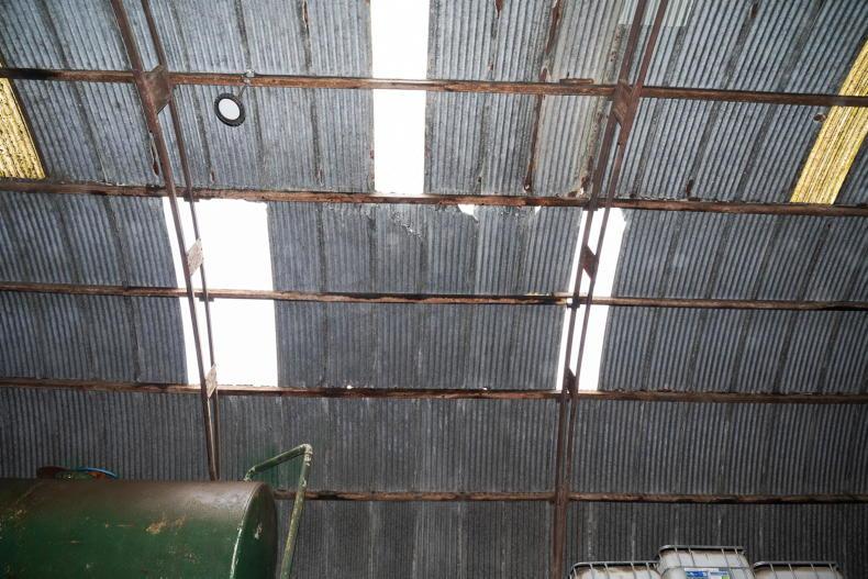 HSA campaign to target deadly falls in farming 
