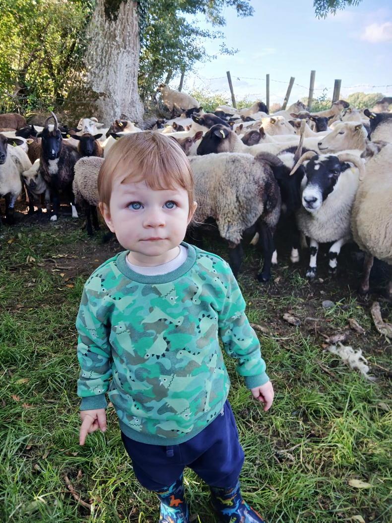 Country vibes... a few of our favourite things