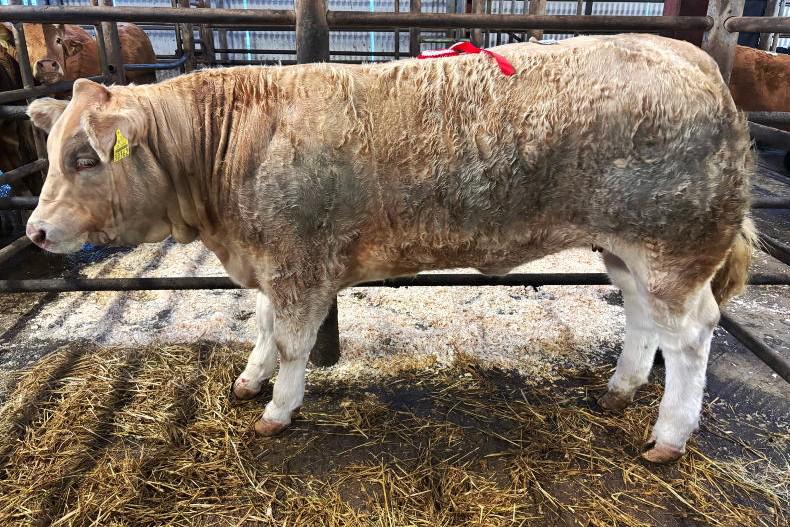 Exporters' mart boycott – have your say 
