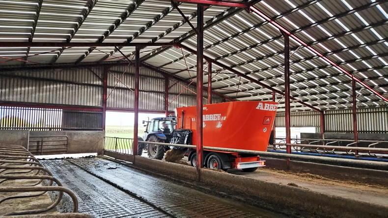 Feeding over 2,000 cattle daily with Abbey’s twin tub